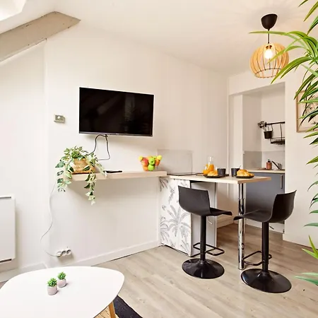 Le Perchoir - Hypercentre - Wi-fi Apartment *